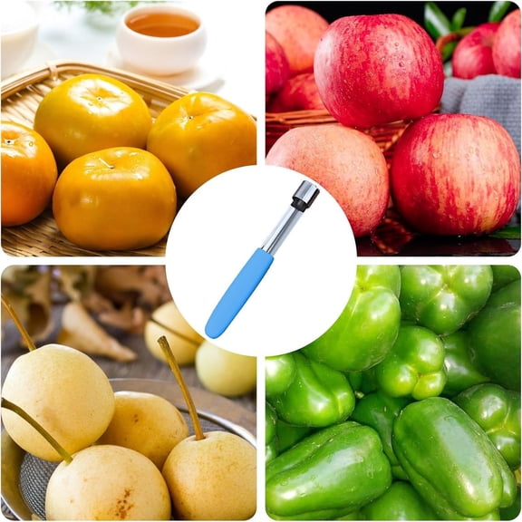 Heavy Duty Stainless Steel Core Remover Tool for Efficient and Precise Fruit Vegetable Coring