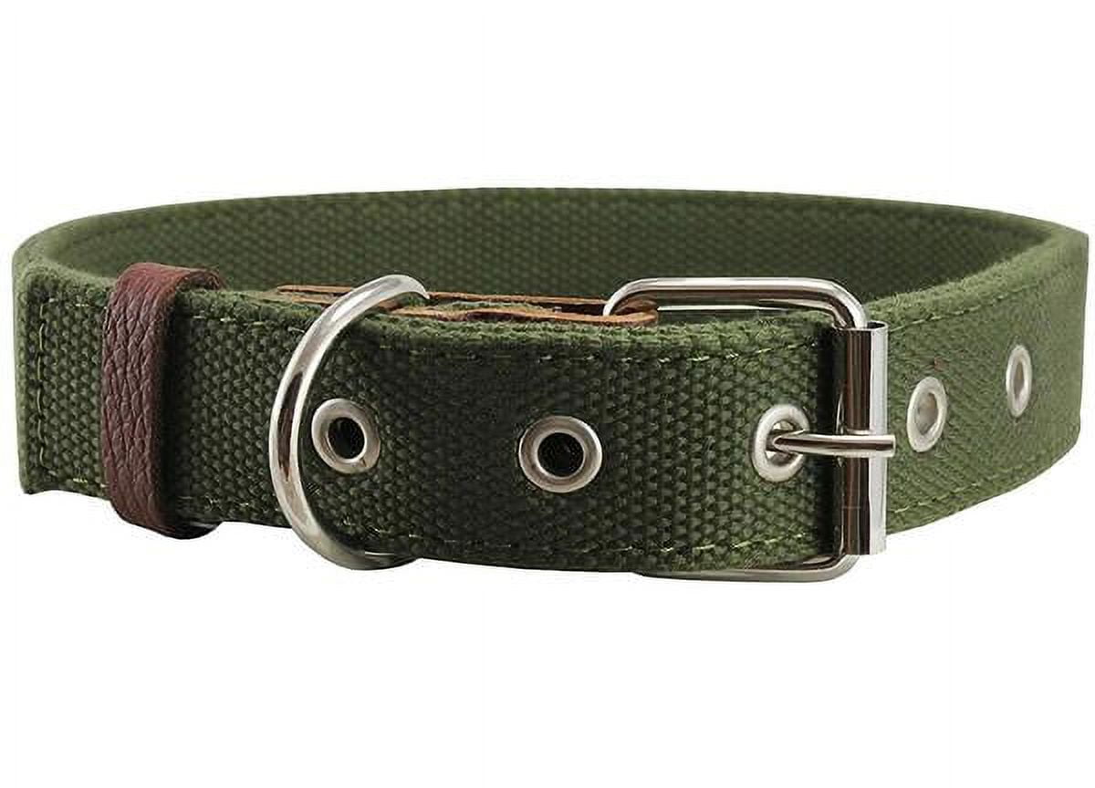 Extra large top dog collar mastiff