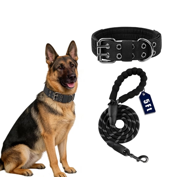 Heavy Duty Dog Collar and 5FT Heavy Duty Nylon Rope Leashes for Medium Large Dogs
