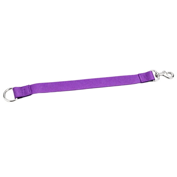 Heavy Duty Dog Leash Short Dog Training Leash Purple Nylon Strong Pet Walk Restraint for Yard Outdoor Use 1 Pack