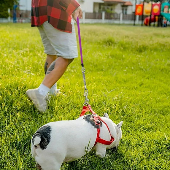 Heavy Duty Dog Tie Out 8m Long Leash with Spring Swivel Clips Durable Runner Chain for Outdoor Yard Camping and Training Secure Tether