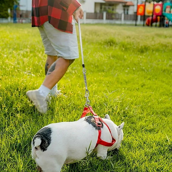 Heavy Duty Dog Tie Out 8m Long Leash with Spring Swivel Clips Durable Runner Chain for Outdoor Yard Camping and Training Secure Tether