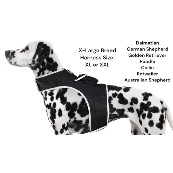 NEW GPS GSM Realtime Dog Tracking System Waterproof Collar Pet Tracker Size:L