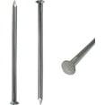 Heavy Duty Galvanized Spike nails, Metal Landscape stakes, for Garden ...