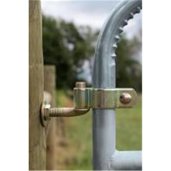 Heavy-Duty Gate Hinge - Black - 2 in. - Includes 0.75 x 12 in. Bolt - Durable Design