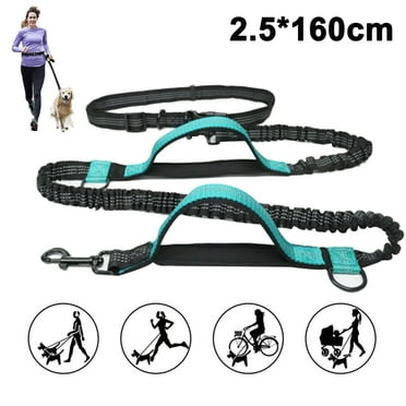 Heavy Duty Hands Free Dog Leash | Comfortable Shock Absorbing Bungee | Adjustable Waist Belt | Jogging Running Leash,Water green