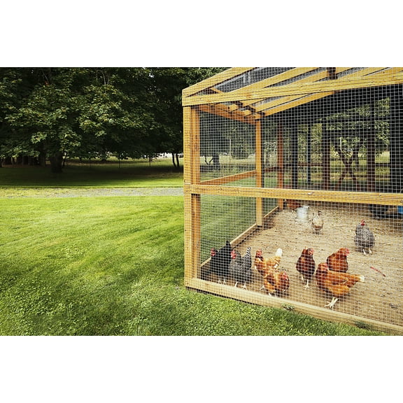 Heavy Duty Hardware Cloth 1/2" Mesh 19 Gauge 60"x100ft Galvanized Welded Wire Fencing Roll for Garden, Chicken Run, Rabbit Cages, Snake Fence