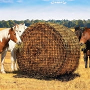 Heavy Duty Knotless Slow Feed Round Bale Hay Net for Horses & Livestock   2" Holes, Ultra-Durable Nylon, Reduces Hay Waste   Ideal for Cattle, Sheep, Farm Use   5x5ft, Black