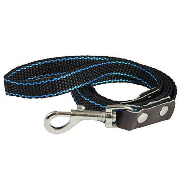 Heavy Duty Nylon Dog Leash with Leather Enforced Snap for Large Breeds (5 Ft)