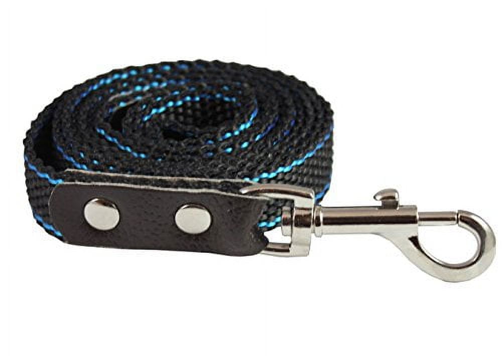 Heavy Duty Nylon Dog Leash with Leather Enforced Snap for Large Breeds