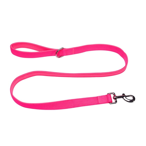 Heavy Duty Nylon Dog Leash with Padded Handle Metal Clip High Visibility for Small Medium Large Dog Daily Walk