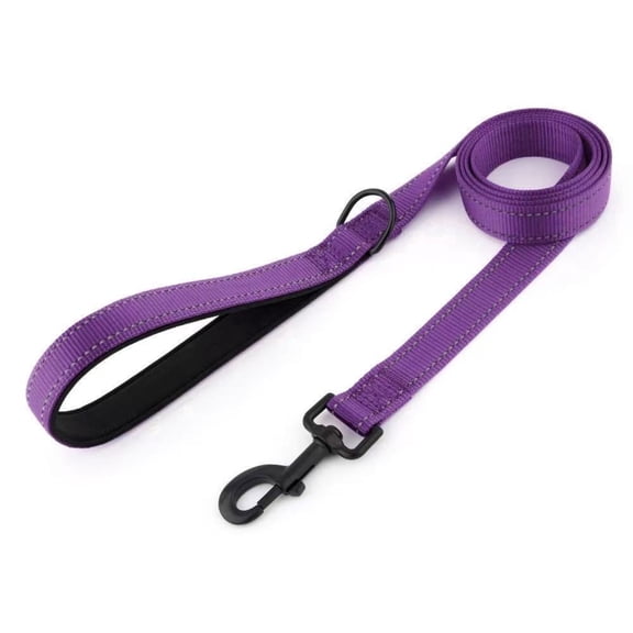 Heavy Duty Nylon Dog Leash, Padded Handle & Metal D-Ring High Visibility Training Walking Leash for Medium Large Dogs