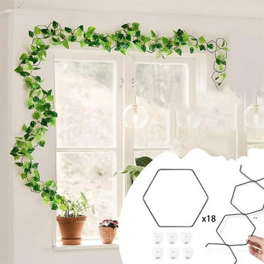 Heavy Duty Plant Stand Kit for Climbing Plants | 18 Hexagonal Rings & 6 Wall Hooks | DIY Iron Trellis for Vines Ivy Vegetables | Weather Resistant Matte Finish | Indoor Outdoor Garden Decor