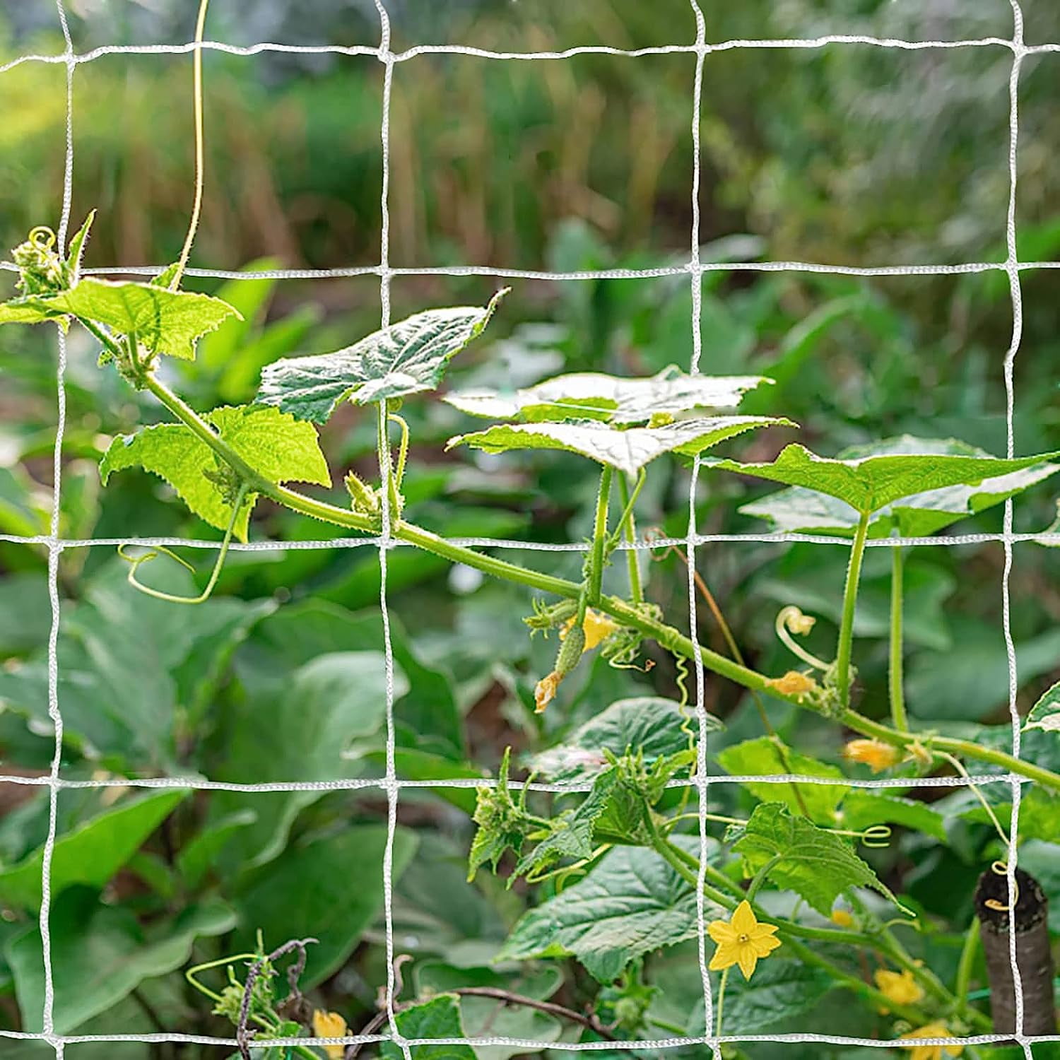 Planting Growing Net Heavy-Duty Polyester Garden Trellis Netting Plant Climbing Net for ...