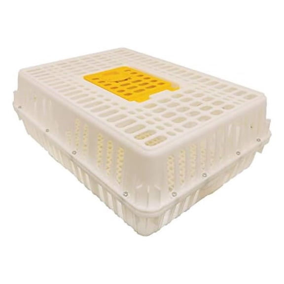 Heavy-Duty Poultry Transport Crate | Secure Chicken & | Durable Plastic with Hinged Loading Door | Holds 4-5 Chickens