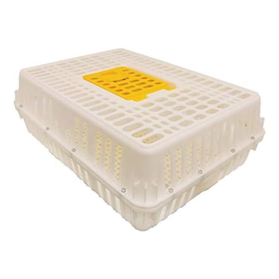 Heavy-Duty Poultry Transport Crate | Secure Chicken & | Durable Plastic with Hinged Loading Door | Holds 4-5 Chickens