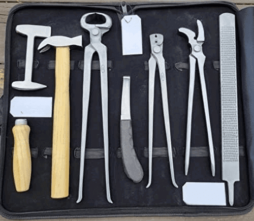 Kit D'outils Maréchal-ferrant - Râpe à Sabot, Clincher, Tétine - Slick Surgico