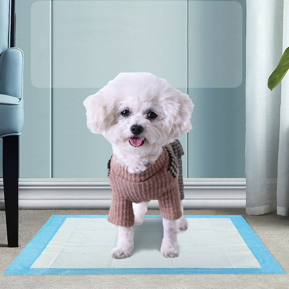 Heavy Duty Puppy Pee Pads 13"x18"-20 Count | Dog Pee Training Pads Super Absorbent & Leak-Proof | Disposable Pet Piddle and Potty Pads for Puppies | Dogs | Doggie| Cats | Rabbits