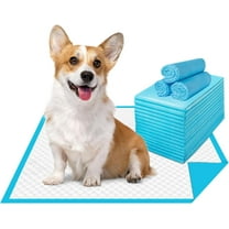 Heavy Duty Puppy Pee Pads, 6-Layer Disposable Wee Wee Pads for Dogs, Super Absorbency & Leak-Proof Potty Training Pet Pads / Dog Housebreaking Supplies for Cats, Rabbits and More / 40 Count - 18"x24"