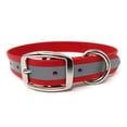 thumbnail image 1 of Regal Dog Products Heavy Duty Waterproof Reflective Standard Collar, 1 of 8