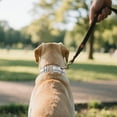 thumbnail image 1 of Heavy Duty Reflective Nylon Dog Collar - Adjustable and Reinforced Design with Metal Quick Release Buckle for Outdoor Use Ideal Choice for Medium and Large Dogs, 1 of 4
