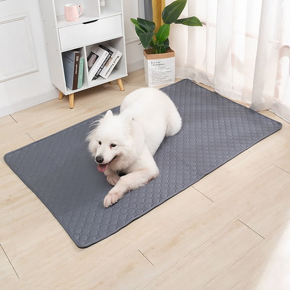 Heavy Duty Reusable Pet Urine Pad - Thickened, Deodorizing & Instant Absorption, Washable & Quick-Dry Dog Training Mat