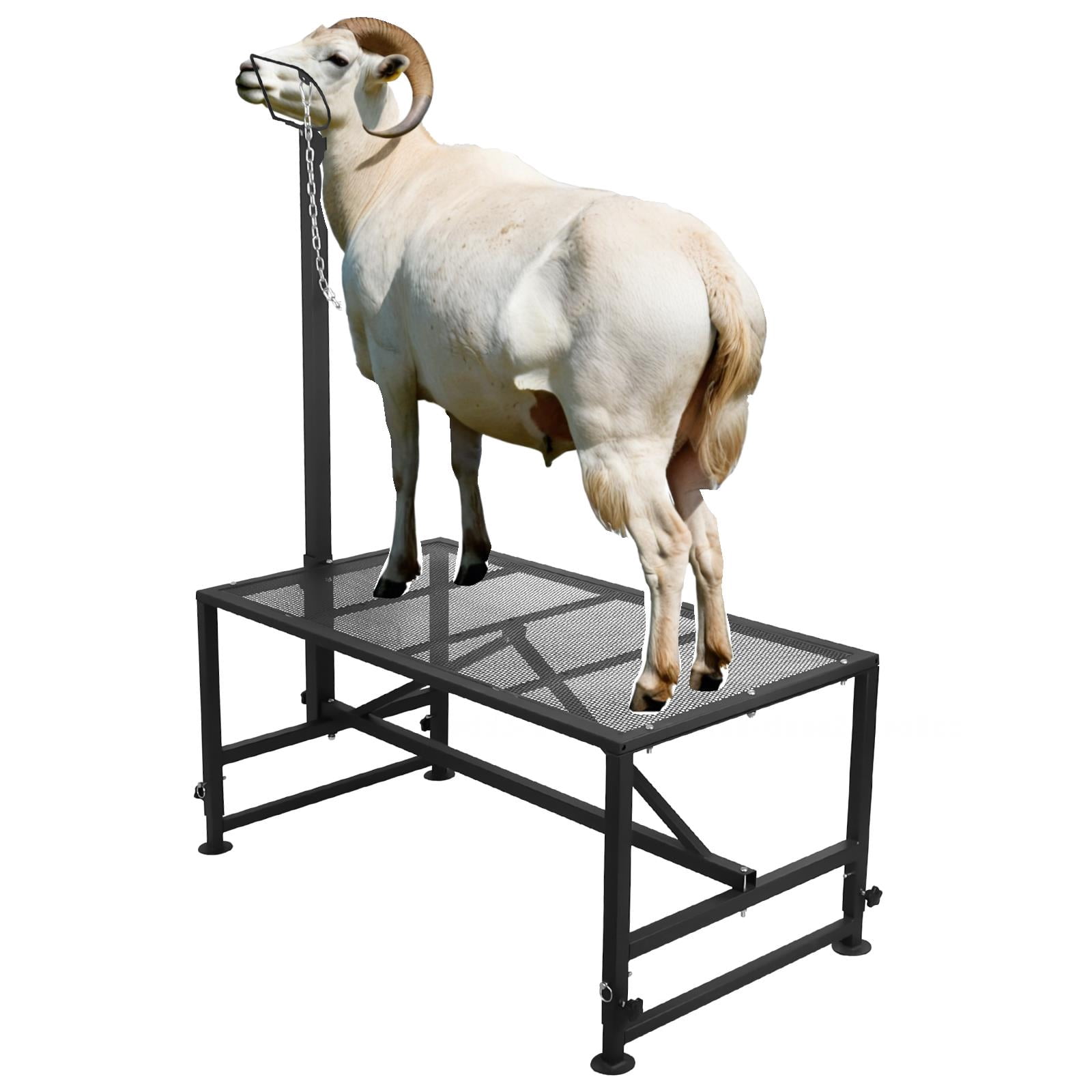 Heavy Duty Sheep Fitting Stand, Goat Milking Stand for Farms ...