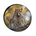 thumbnail image 1 of Heavy Duty Spare Tire Cover Funny Squirrel Wheel Protectors Weatherproof Wheel Covers Cute Animals Tire Cover for Camper Trailer Truck SUV Universal 12inch, 1 of 8