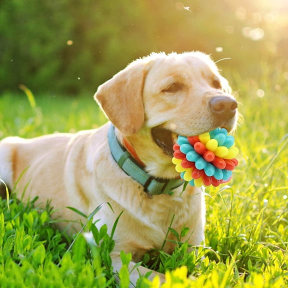 Heavy Duty Spiky Chew Toy for Aggressive Chewers with Cleaning Bumps and Textured Enhancing Chewing Exercise