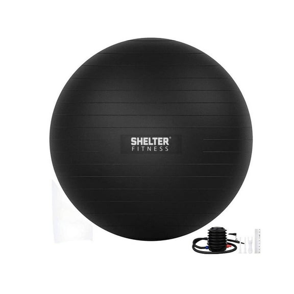 Heavy Duty Stability Ball