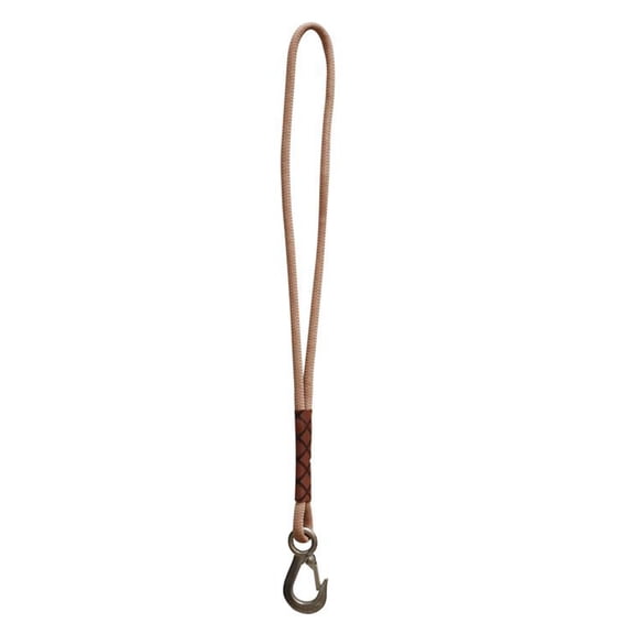 Heavy Duty Swing Suspension Strap with Stainless Steel Hook, Nylon Tree Swing Hanging Rope for Outdoor Swings Camping Backyard Playground,1