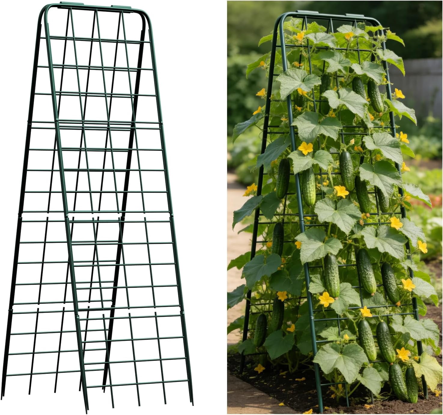 Heavy Duty Trellis for Climbing Plants, 50"x17" Adjustable Height Steel Cucumber Trellis, Powder Coated Metal Garden Trellis for Raised Beds,Tomatoes, Cucumbers & Outdoor Vines