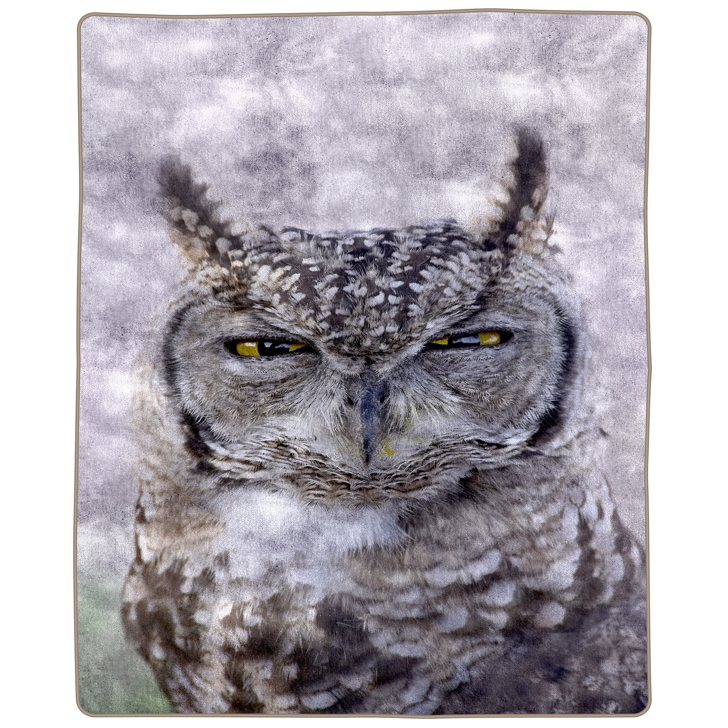 Heavy Fleece Blanket with Owl Pattern- Plush Thick 8 Pound Faux Mink Soft Blanket for Couch Sofa Bed by Somerset Home (74” x 91”)