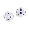 thumbnail image 1 of Heavy Metal Icewind D20 Dice Set (2ct) for Dungeons  Dragons, 1 of 4