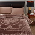 thumbnail image 1 of Heavy Thick Mink Blanket 9Lb for Winter,1 Ply Warm Bed Blanket King,85"x95",Camel, 1 of 4