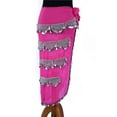 thumbnail image 1 of Heavy U Shape Sash & Skirt with Lots of Coins, Fuchsia & Silver, 1 of 1