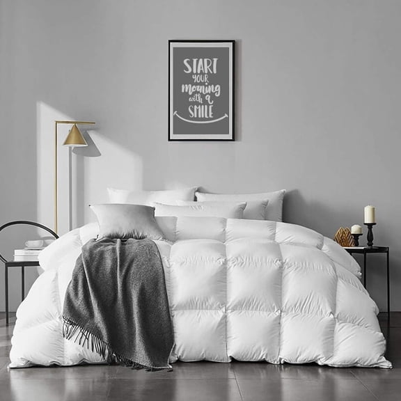 Heavyweight Feather Down Comforter Full/Queen Size - Cotton Quilted Thicker Winter Warmest Duvet Insert for Colder Weather/Sleepers (90x90, Ivory White)