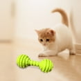 thumbnail image 1 of Heavyweight Rubber Dog Chew Toys for Aggressive Chewers Long-Lasting Rugged Chew Toys Pet Teething Toys for Teeth Cleaning and Mental Stimulation, 4.72 inch, Green, 1 of 9