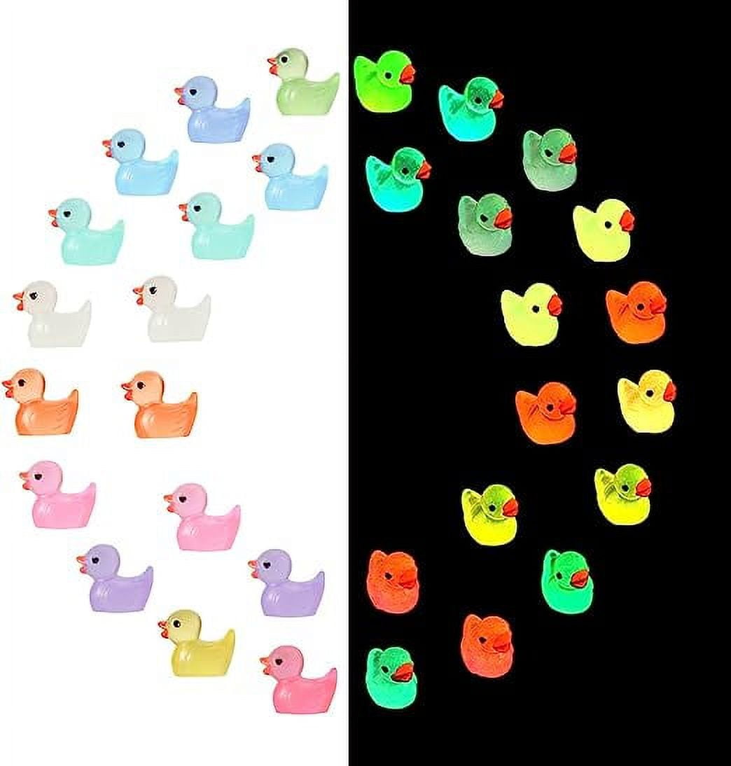 Hebalg 100 Pack Mini Resin Ducks, Luminous Resin Ducks in Bulk, Tiny Ducks Glow in The Dark Miniature Figures Ducks for DIY Garden Landscape Dollhouse Ornament Potted Home Decorations (10 Colors)