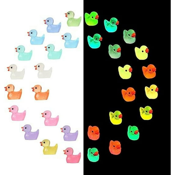 Hebalg 100 Pack Mini Resin Ducks, Luminous Resin Ducks in Bulk, Tiny Ducks Glow in The Dark Miniature Figures Ducks for DIY Garden Landscape Dollhouse Ornament Potted Home Decorations (10 Colors)