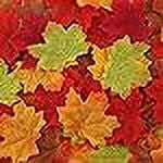 Hebalg 300pcs Fall Artificial Maple Leaves, Simulation Maple Leaf Assorted Colors Thanksgiving Maple Leaf Decorations for Fall Harvest Wedding Festival Events Party Table Decor