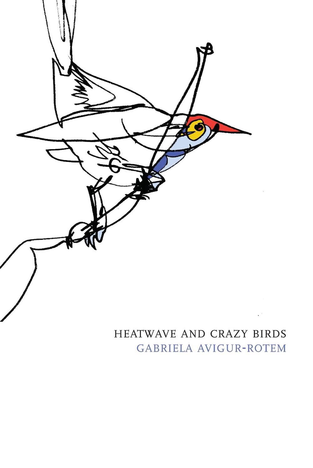 Hebrew Literature: Heatwave and Crazy Birds (Paperback)