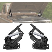 Hecasa Primed Black Steel Hood Compatible with 1967-1972 Ford F100 F250 F350 Wsprings Brackets Steel Electrophoresis Primed Black Driver And Passenger Side 1967-1972