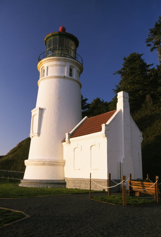 Heceta Head Lighthouse Along Oregon Coast Canvas Art - Natural Selection Craig Tuttle Design Pics (12 x 18)