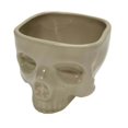 thumbnail image 1 of Hecteas Tableware,Plastic Dining Bowl,Spaghetti Bowl(1X Halloween Human Skull Bowl-Beige), 1 of 7