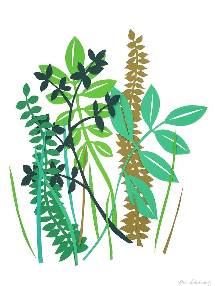 Hedge Row III Poster Print Alicia Ludwig (18 x 24)