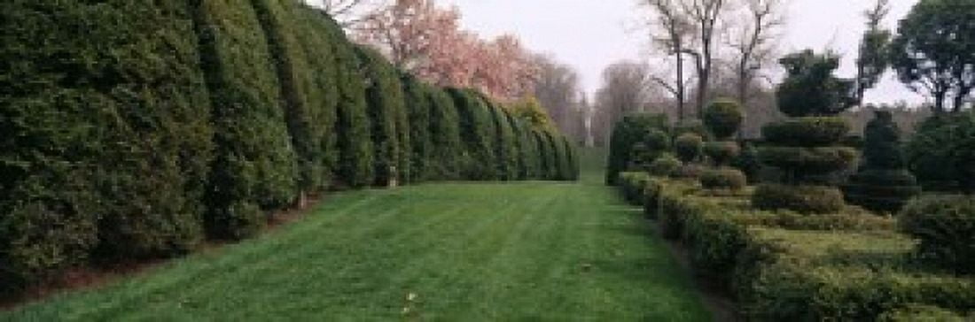 Hedge in a formal garden Ladew Topiary Gardens Monkton Baltimore County Maryland USA Canvas Art - Panoramic Images (18 x 6)