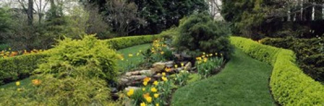 Hedge in a formal garden Ladew Topiary Gardens Monkton Baltimore County Maryland USA Canvas Art - Panoramic Images (18 x 6)