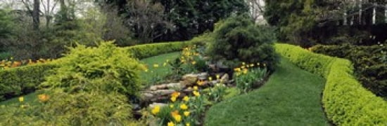 Hedge in a formal garden Ladew Topiary Gardens Monkton Baltimore County Maryland USA Canvas Art - Panoramic Images (36 x 12)