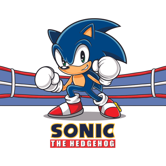 The Hedgehog Adventurous Quote Wall Decal Decoration Supersonic Spiky Hair Kids Children Hoilday Decals Stickers Art Gift Room Walls Wall Decoration - Size: 10 In(W) x 8 In(H)